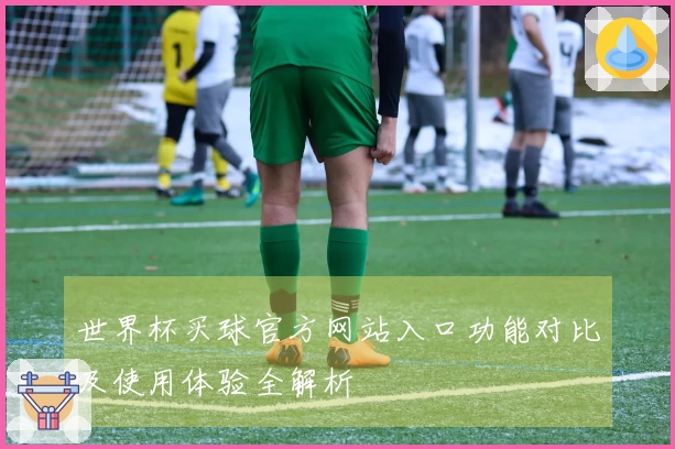 世界杯买球官方网站入口功能对比及使用体验全解析