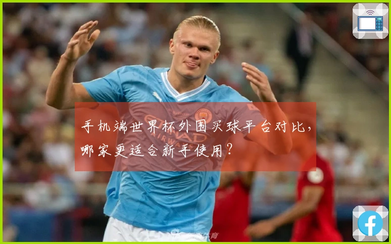 手机端世界杯外围买球平台对比，哪家更适合新手使用？
