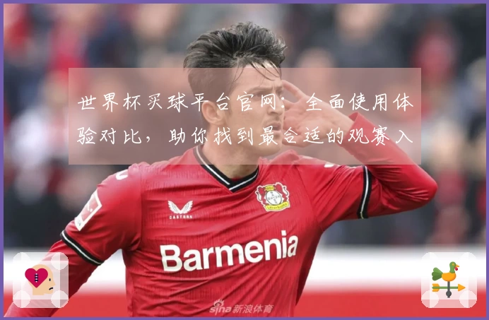 世界杯买球平台官网：全面使用体验对比，助你找到最合适的观赛入口