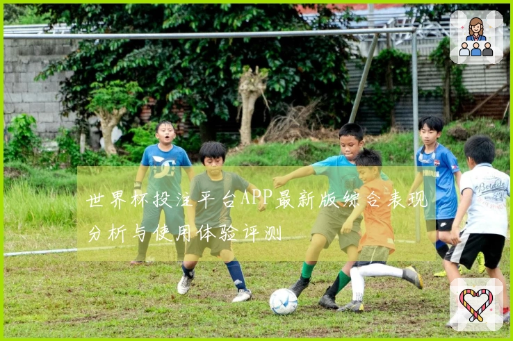 世界杯投注平台APP最新版综合表现分析与使用体验评测