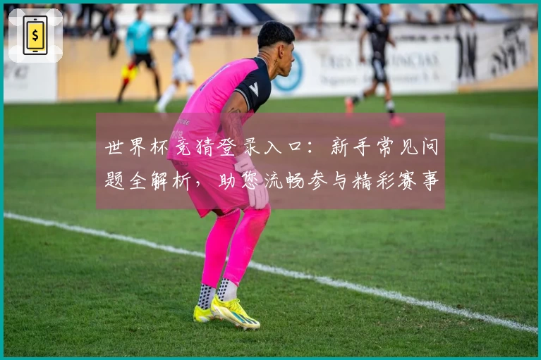 世界杯竞猜登录入口：新手常见问题全解析，助您流畅参与精彩赛事