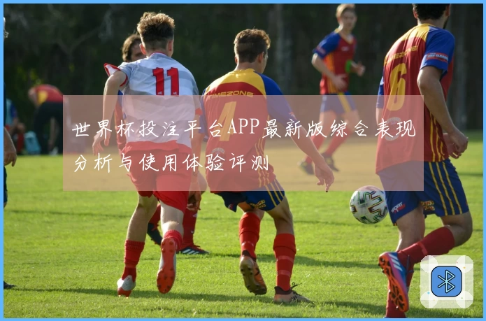 世界杯投注平台APP最新版综合表现分析与使用体验评测
