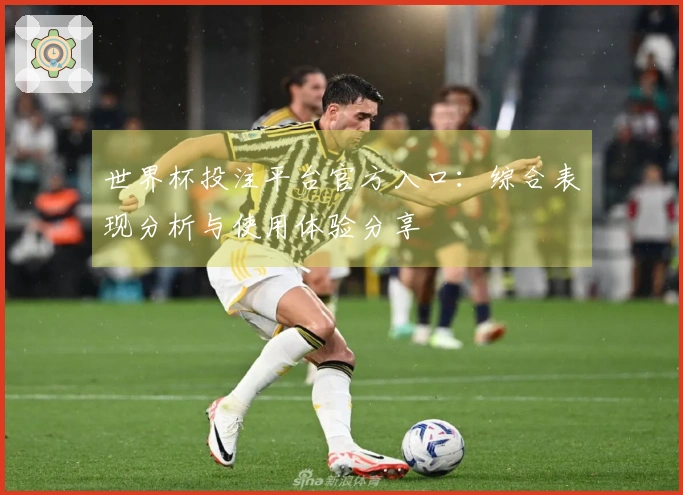 世界杯投注平台官方入口：综合表现分析与使用体验分享