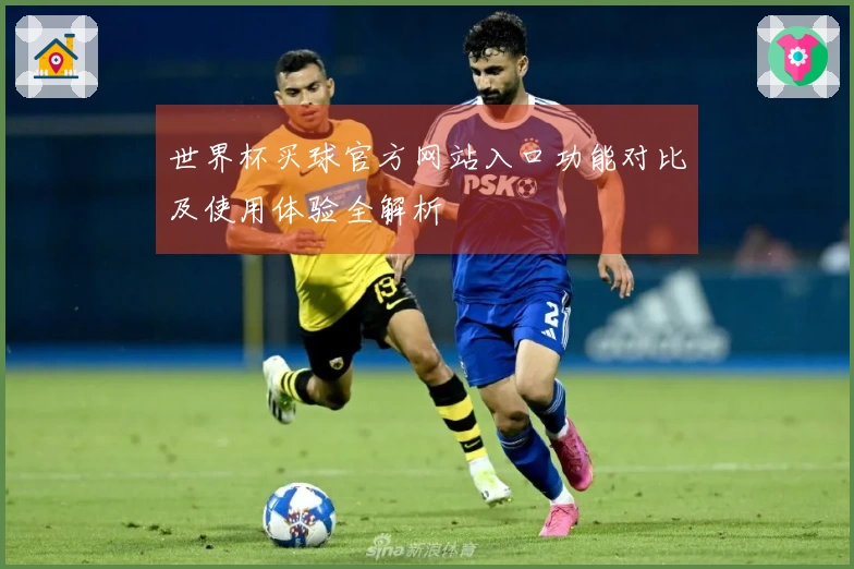 世界杯买球官方网站入口功能对比及使用体验全解析