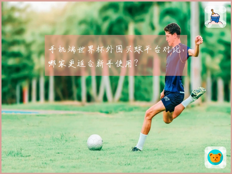 手机端世界杯外围买球平台对比，哪家更适合新手使用？