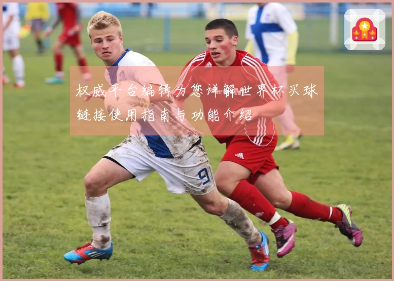 权威平台编辑为您详解世界杯买球链接使用指南与功能介绍