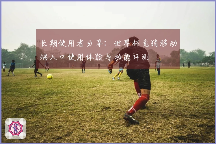 长期使用者分享：世界杯竞猜移动端入口使用体验与功能评测