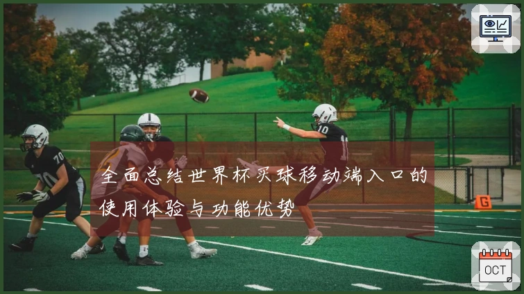 全面总结世界杯买球移动端入口的使用体验与功能优势